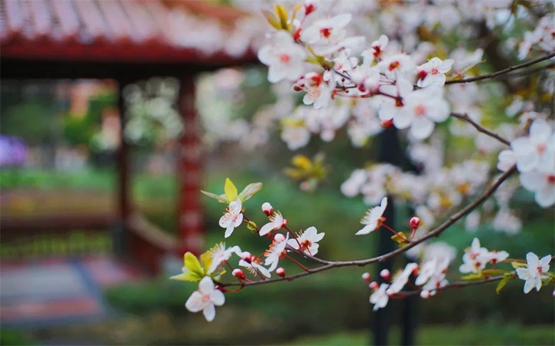 四川師范大學(xué)小學(xué)教育專業(yè)錄取分?jǐn)?shù)線【山西高考理科】