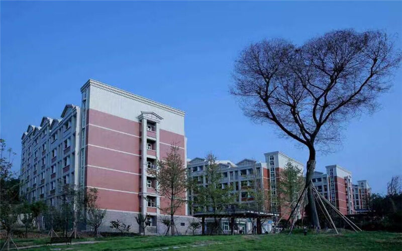 四川中醫(yī)藥高等?？茖W(xué)校中醫(yī)學(xué)專業(yè)在重慶招生錄取分?jǐn)?shù)(物理類)：454分