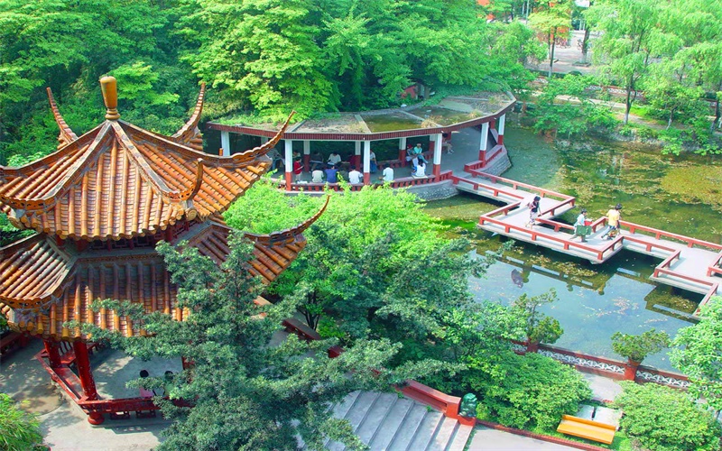西華大學(xué)電子商務(wù)專業(yè)在山東招生錄取分?jǐn)?shù)(綜合)：541分