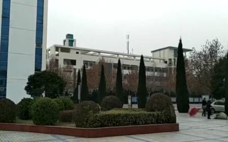 運(yùn)城幼兒師范高等?？茖W(xué)校小學(xué)語文教育（師范類）專業(yè)在山東招生錄取分?jǐn)?shù)(綜合)：426分