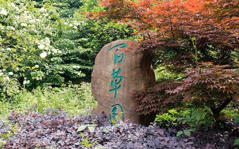 2023年淮南職業(yè)技術(shù)學(xué)院在寧夏招生專業(yè)及招生人數(shù)匯總