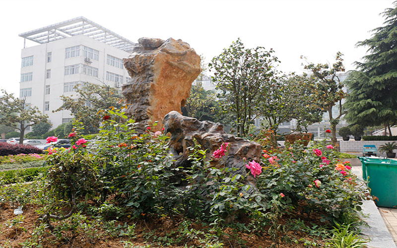 2023年淮南職業(yè)技術(shù)學(xué)院在海南招生專(zhuān)業(yè)及招生人數(shù)匯總