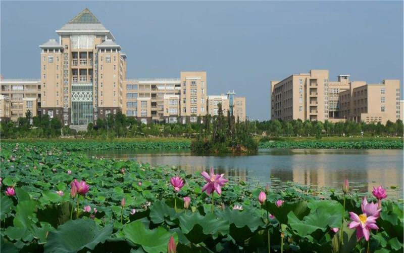 2023年武漢科技大學(xué)在內(nèi)蒙古招生專業(yè)及招生人數(shù)匯總(2024考生參考)