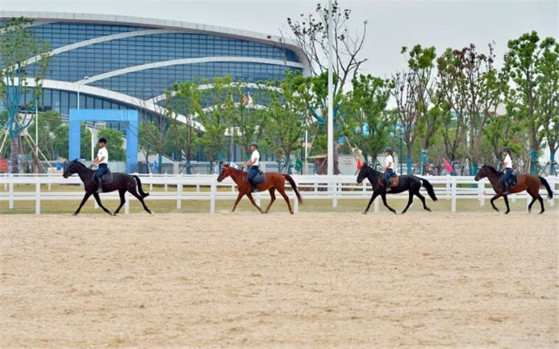 2022年武漢商學(xué)院在云南招生專業(yè)及招生人數(shù)匯總（2023考生參考）