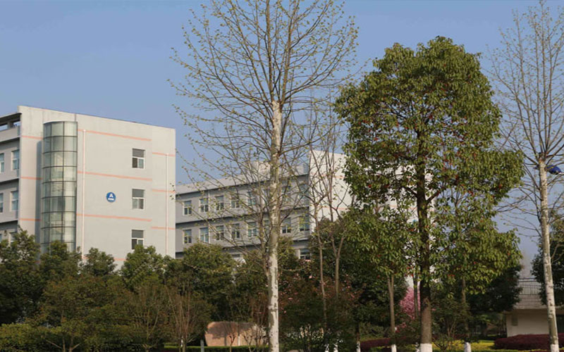 皖西衛(wèi)生職業(yè)學(xué)院護(hù)理專業(yè)在山東招生錄取分?jǐn)?shù)(綜合)：374分