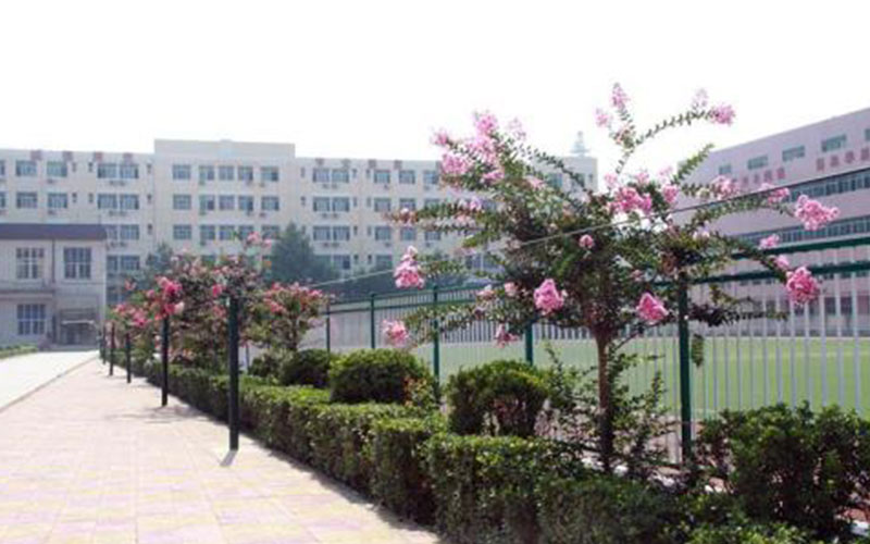 石家莊經(jīng)濟(jì)職業(yè)學(xué)院計(jì)算機(jī)應(yīng)用技術(shù)專業(yè)在河北招生錄取分?jǐn)?shù)(歷史類)：200分
