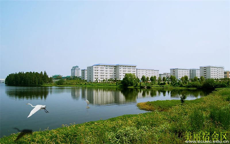 2023年中南民族大學(xué)在安徽招生專業(yè)及招生人數(shù)匯總