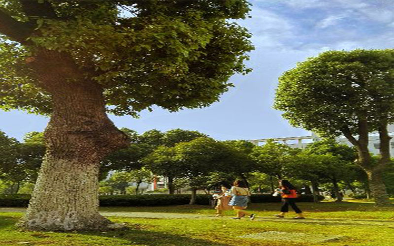 2023年蕪湖職業(yè)技術學院在安徽錄取批次及錄取分數(shù)參考