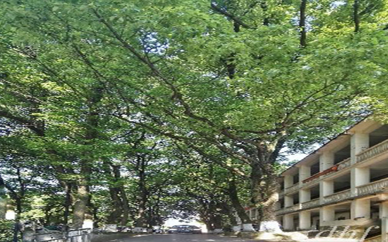 2023年山東考生多少分可以上蕪湖職業(yè)技術學院人工智能技術應用專業(yè)？