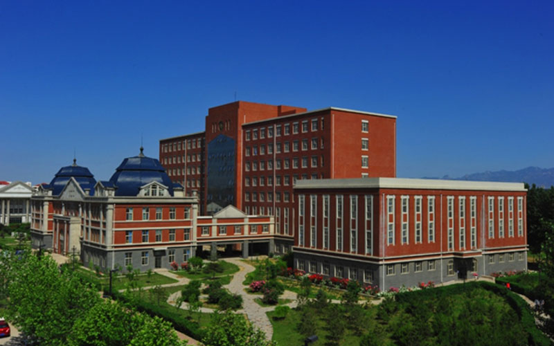 2024考生參考：2023東北大學(xué)秦皇島分校數(shù)學(xué)類專業(yè)在遼寧招生錄取分?jǐn)?shù)及錄取位次