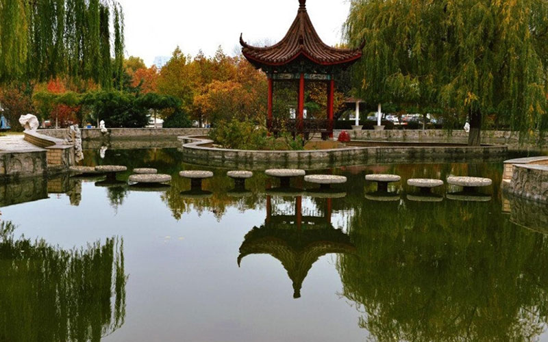 多少分可以上河北科技師范學(xué)院？河北科技師范學(xué)院2022年在黑龍江各招生專業(yè)錄取分?jǐn)?shù)匯總