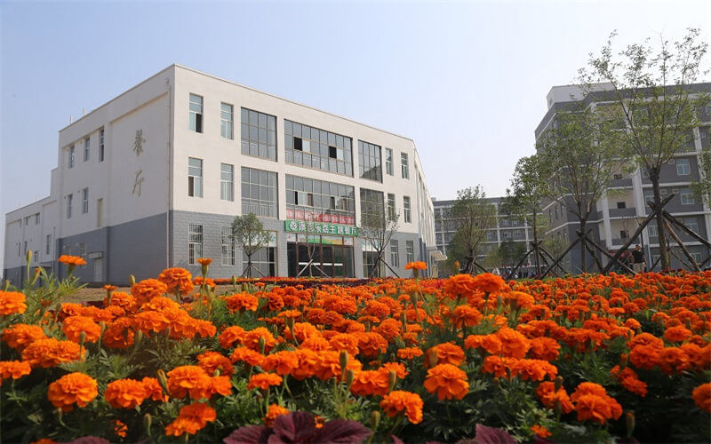 三門峽社會(huì)管理職業(yè)學(xué)院大數(shù)據(jù)技術(shù)專業(yè)在河北招生錄取分?jǐn)?shù)(歷史類)：313分