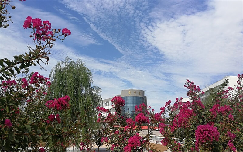 三門峽社會(huì)管理職業(yè)學(xué)院信息安全技術(shù)應(yīng)用（一）專業(yè)在河北招生錄取分?jǐn)?shù)(歷史類)：293分