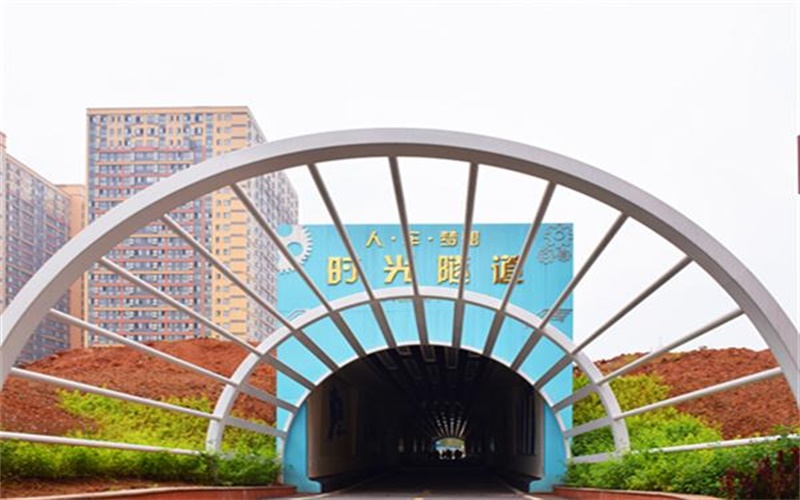 四川希望汽車職業(yè)學(xué)院護理專業(yè)錄取分數(shù)線【四川高考理科】