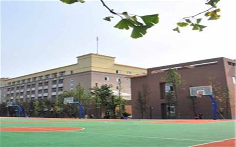 四川外國語大學(xué)成都學(xué)院學(xué)前教育專業(yè)在河北招生錄取分?jǐn)?shù)(物理類)：469分