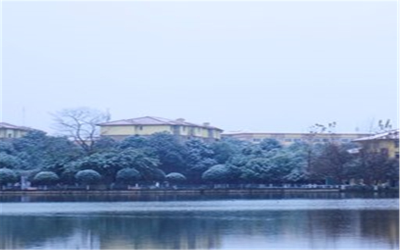 四川外國語大學(xué)成都學(xué)院意大利語專業(yè)錄取分數(shù)線【河北高考歷史類】