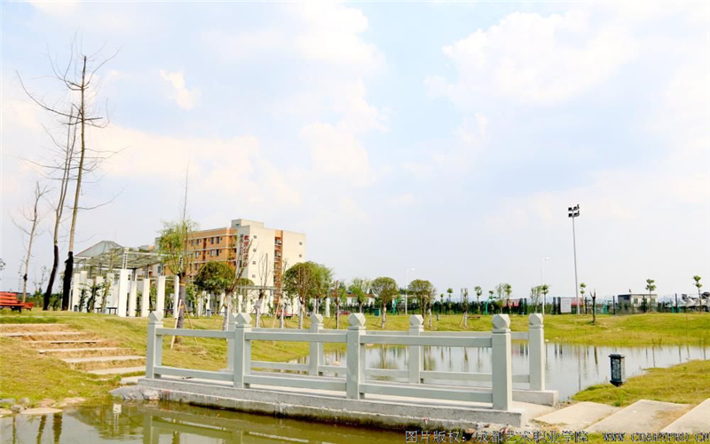成都藝術(shù)職業(yè)大學(xué)連鎖經(jīng)營(yíng)與管理專(zhuān)業(yè)錄取分?jǐn)?shù)線(xiàn)【四川高考理科】
