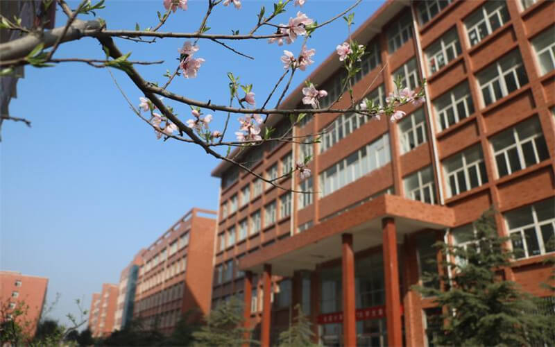 2024考生參考：2023洛陽(yáng)科技職業(yè)學(xué)院學(xué)前教育專業(yè)在山東招生錄取分?jǐn)?shù)及錄取位次