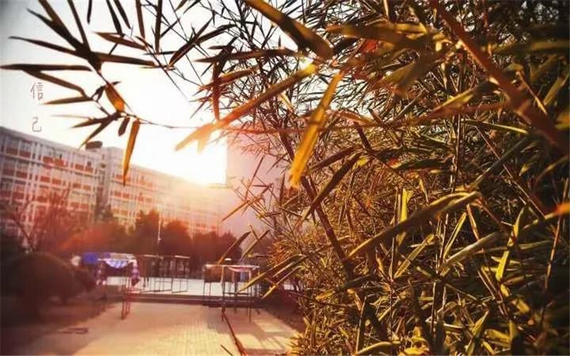 2023年河南農(nóng)業(yè)職業(yè)學院在江西錄取批次及錄取分數(shù)參考