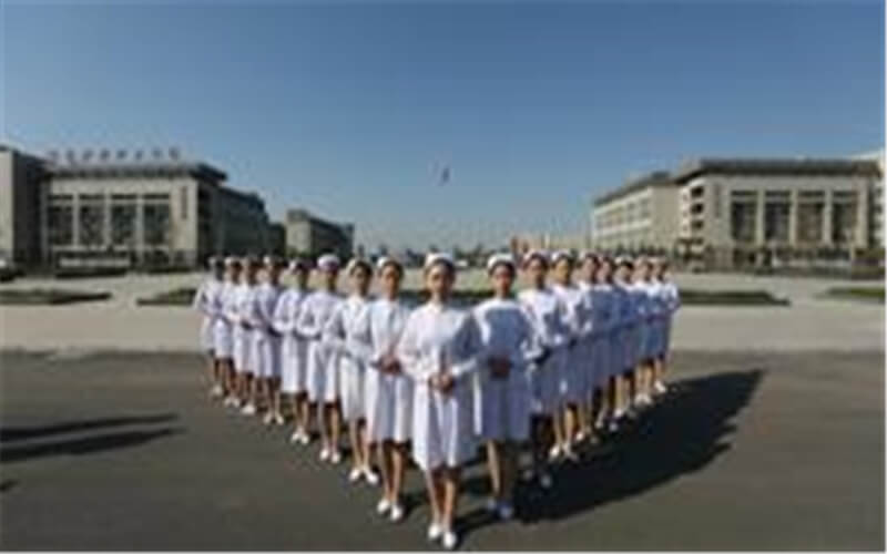 河南護理職業(yè)學院護理專業(yè)錄取分數(shù)線【河北高考歷史類】