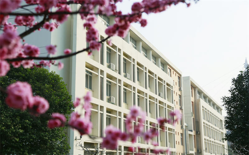 河南推拿職業(yè)學(xué)院針灸推拿專業(yè)錄取分數(shù)線【四川高考理科】