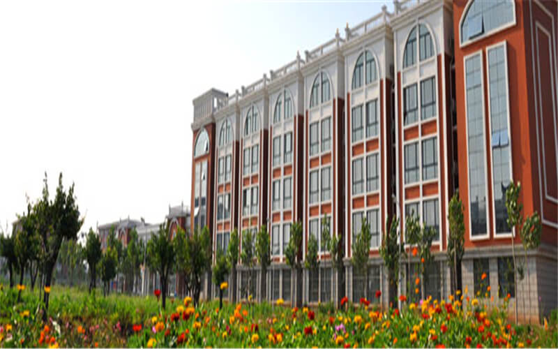 鶴壁汽車工程職業(yè)學(xué)院新能源汽車技術(shù)專業(yè)在河北招生錄取分?jǐn)?shù)(歷史類)：221分