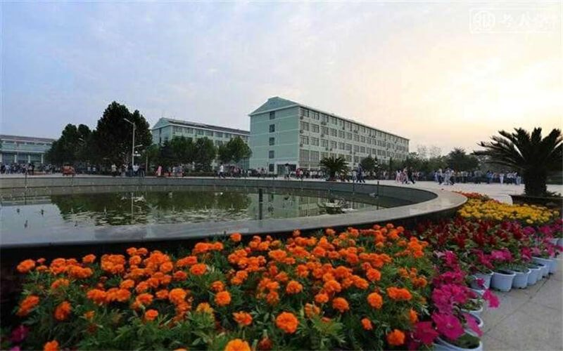 2024年鄭州經(jīng)貿(mào)學(xué)院自動化專業(yè)在河北錄取分數(shù)線參考
