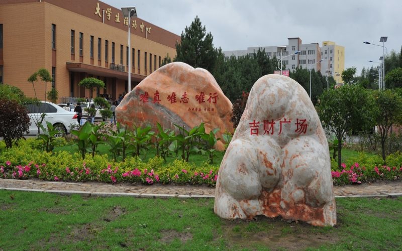 吉林財(cái)經(jīng)大學(xué)財(cái)政學(xué)專業(yè)在山東招生錄取分?jǐn)?shù)(綜合)：547分