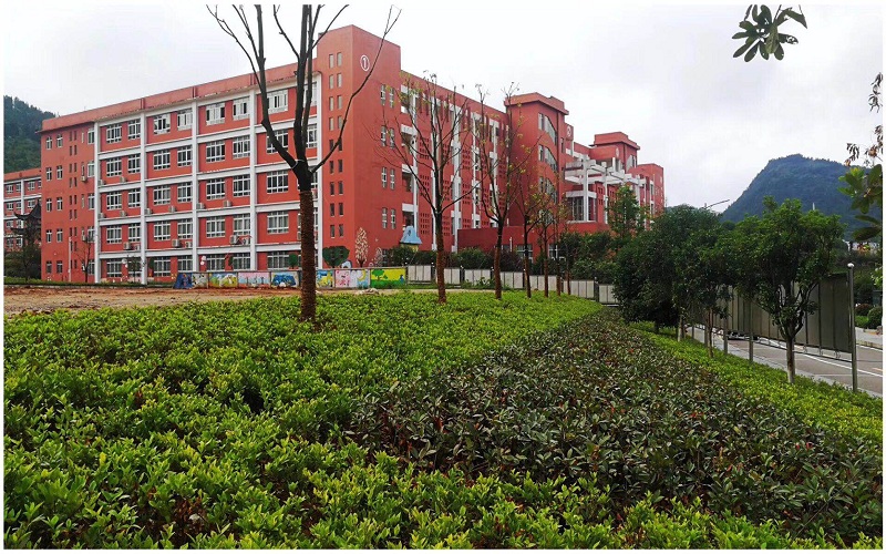 銅仁幼兒師范高等?？茖W(xué)校早期教育專業(yè)（一 ）錄取分?jǐn)?shù)線【廣西高考文科】