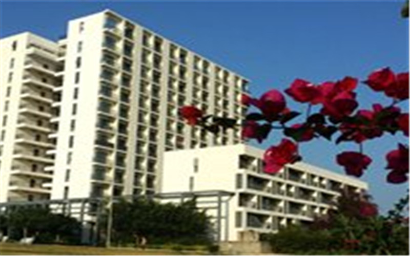 2024考生參考：2023三亞城市職業(yè)學(xué)院嬰幼兒托育服務(wù)與管理專業(yè)在浙江招生錄取分?jǐn)?shù)及錄取位次
