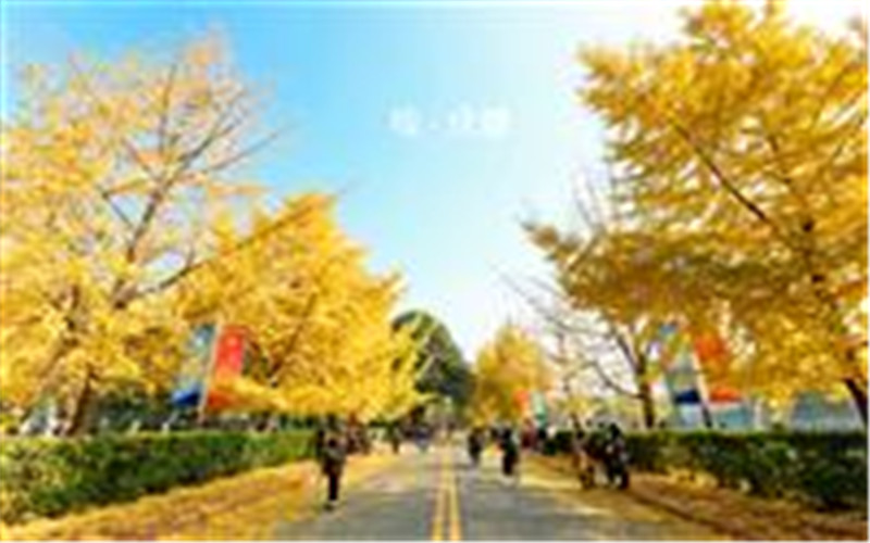 【2023高考參考】成都體育學(xué)院2022年安徽招生專業(yè)及招生計(jì)劃一覽表