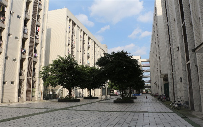 2023年德陽科貿(mào)職業(yè)學(xué)院在青海招生專業(yè)及招生人數(shù)匯總(2024考生參考)