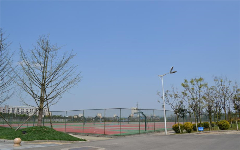 四川華新現(xiàn)代職業(yè)學(xué)院護(hù)理專業(yè)錄取分?jǐn)?shù)線【云南高考文科】