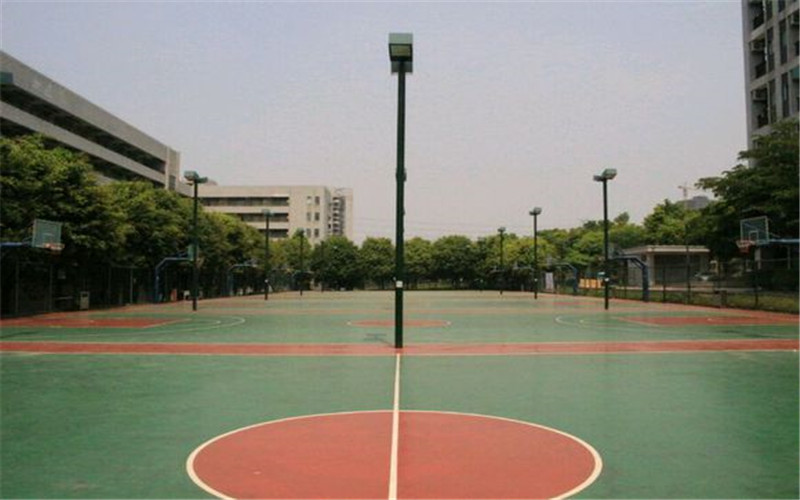 東莞職業(yè)技術(shù)學(xué)院現(xiàn)代物流管理專業(yè)錄取分?jǐn)?shù)線【福建高考?xì)v史類】
