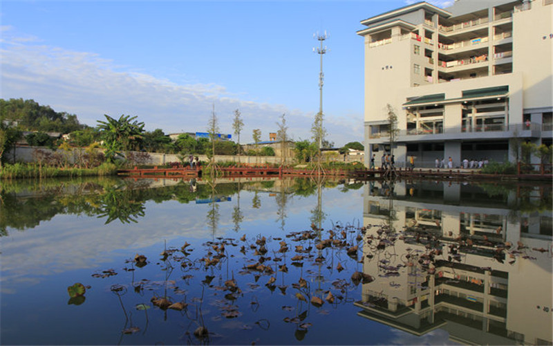 廣州華夏職業(yè)學(xué)院計算機(jī)網(wǎng)絡(luò)技術(shù)專業(yè)（一 ）錄取分?jǐn)?shù)線【廣西高考文科】