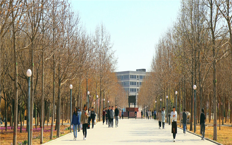 2023年河北考生多少分可以上河北農(nóng)業(yè)大學現(xiàn)代科技學院公共事業(yè)管理專業(yè)？
