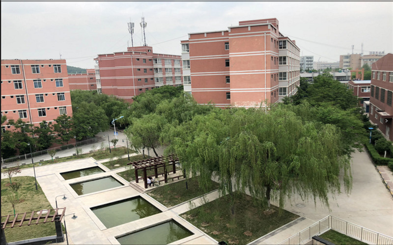2023年陜西職業(yè)技術(shù)學院在陜西錄取批次及錄取分數(shù)參考