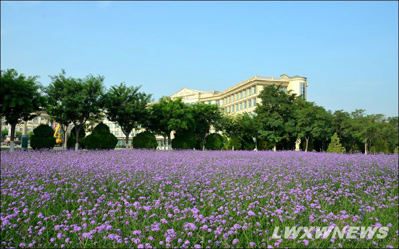 【2023高考參考】蘭州外語職業(yè)學(xué)院2022年河北招生專業(yè)及招生計劃一覽表