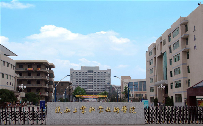 陜西工業(yè)職業(yè)技術(shù)學(xué)院紡織品檢驗與貿(mào)易專業(yè)錄取分?jǐn)?shù)線【陜西高考理科】