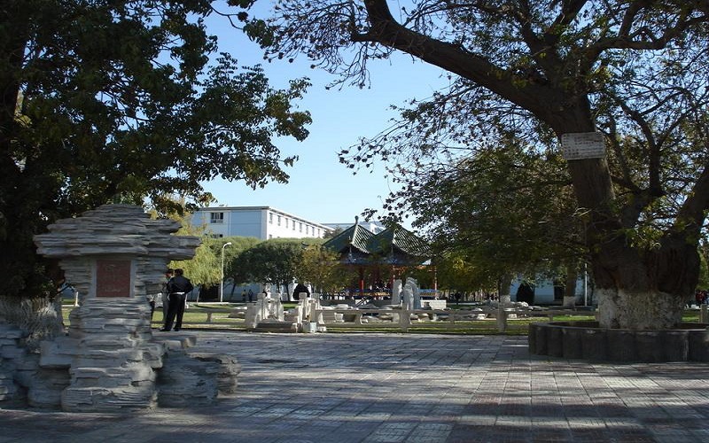 喀什大學俄語專業(yè)錄取分數(shù)線【重慶高考歷史類】