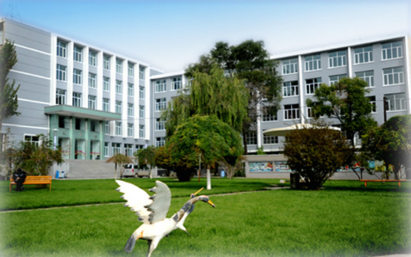 【2023高考參考】青海大學(xué)昆侖學(xué)院2022年河南招生專業(yè)及招生計劃一覽表