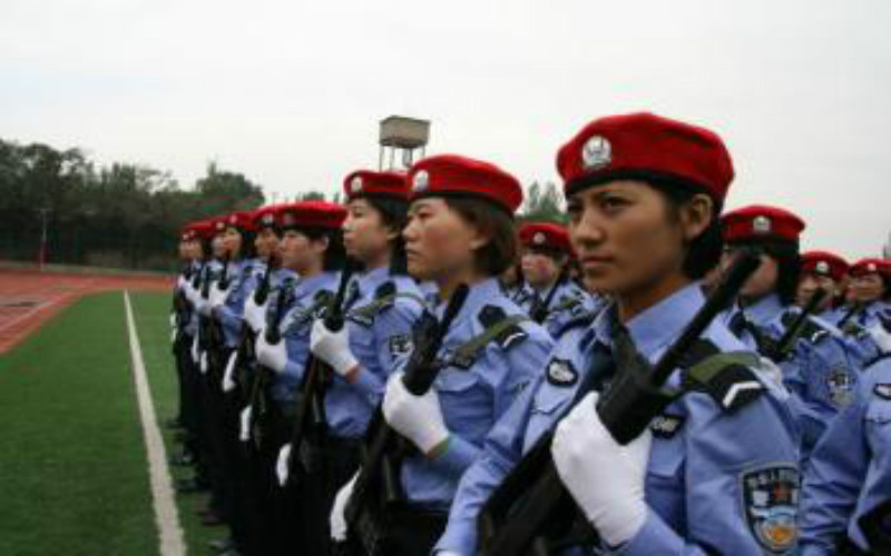2024考生參考：2023青海警官職業(yè)學(xué)院法律文秘專(zhuān)業(yè)在山東招生錄取分?jǐn)?shù)及錄取位次