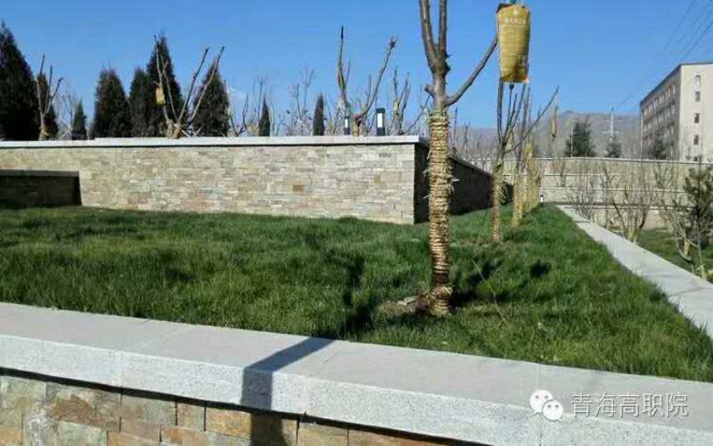 青海高等職業(yè)技術(shù)學(xué)院應(yīng)用電子技術(shù)專業(yè)錄取分數(shù)線【云南高考理科】