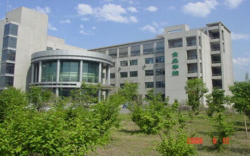 2024考生參考：2023東北農(nóng)業(yè)大學(xué)動(dòng)物生產(chǎn)類(lèi)專(zhuān)業(yè)在重慶招生錄取分?jǐn)?shù)及錄取位次