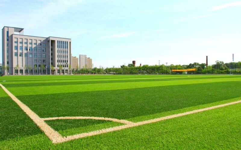 2023年山東考生多少分可以上東北農(nóng)業(yè)大學能源動力類專業(yè)？