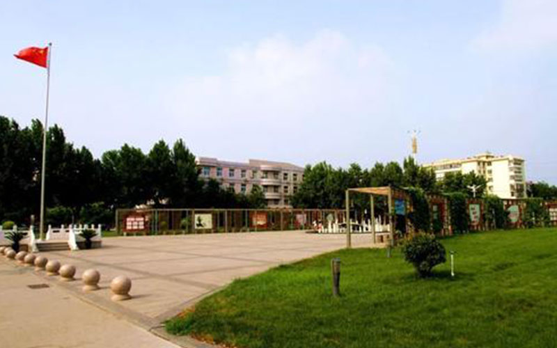 石家莊職業(yè)技術(shù)學(xué)院電子商務(wù)（藥品營銷）專業(yè)在河北招生錄取分?jǐn)?shù)(歷史類)：397分