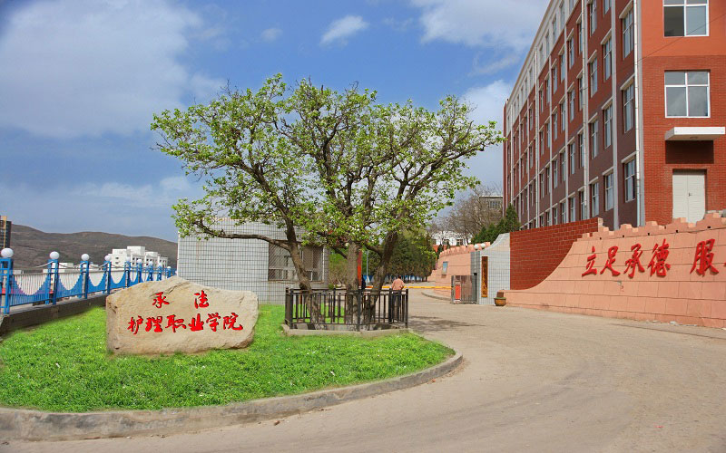 承德護理職業(yè)學(xué)院臨床醫(yī)學(xué)專業(yè)在河北招生錄取分數(shù)(歷史類)：243分