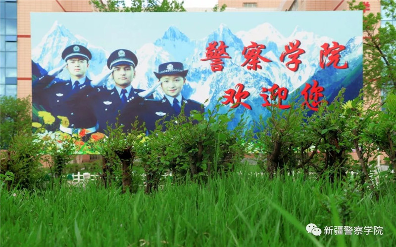 2023年新疆警察學院在四川招生專業(yè)及招生人數(shù)匯總(2024考生參考)