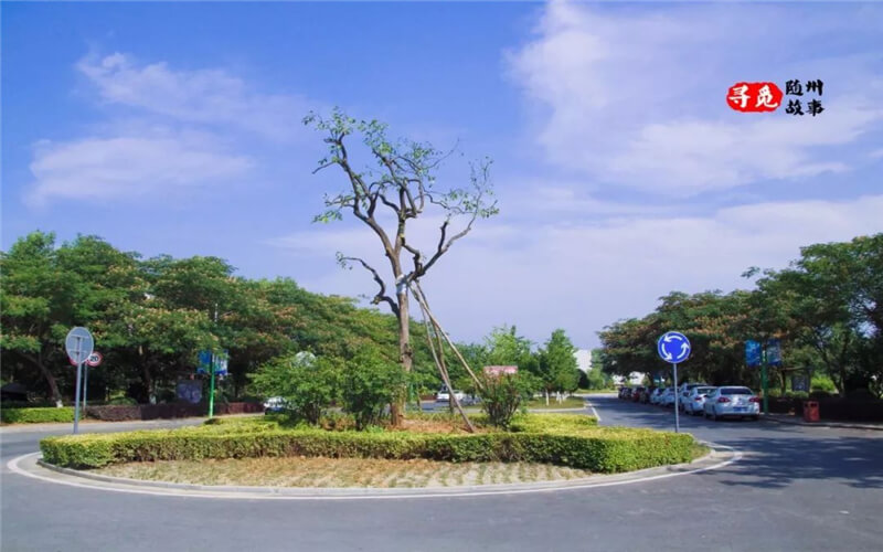 2023年隨州職業(yè)技術(shù)學(xué)院在青海招生專業(yè)及招生人數(shù)匯總