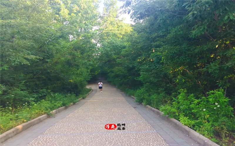 隨州職業(yè)技術(shù)學(xué)院護(hù)理專業(yè)在山東招生錄取分?jǐn)?shù)(綜合)：394分